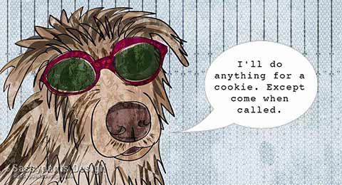 I'll do anything for a cookie. Except come when called. 